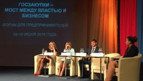 Бизнес-омбудсмен Карелии: «Главной проблемой госзакупок являются неплатежи по выполненным контрактам»